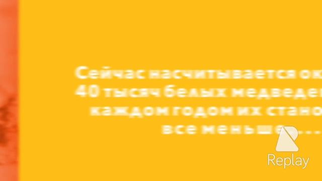 Проектная работа. Окружающий мир 2 класс. Красная книга ( белый медведь ) смотреть онлайн