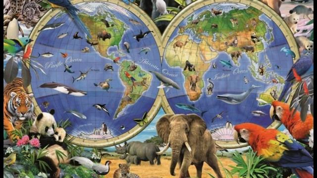 День защиты животных смотреть онлайн