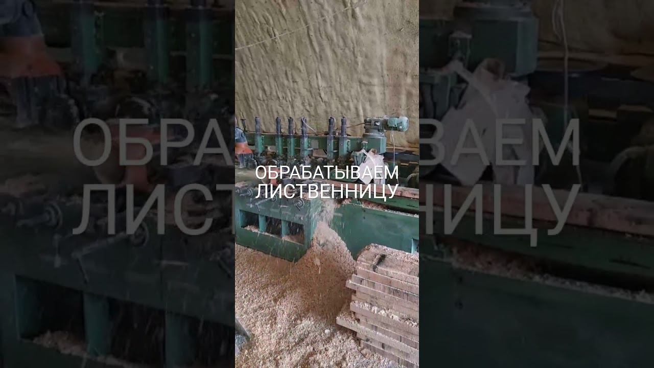 Обрабатываем лиственницу! смотреть онлайн