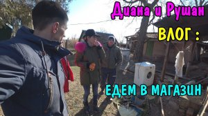 ПОКУПКИ НА 10000 РУБЛЕЙ / МЕНЯЮ СЧЕТЧИК / ПОКУПКА ПРОДУКТОВ / ДИАНА И РУШАН