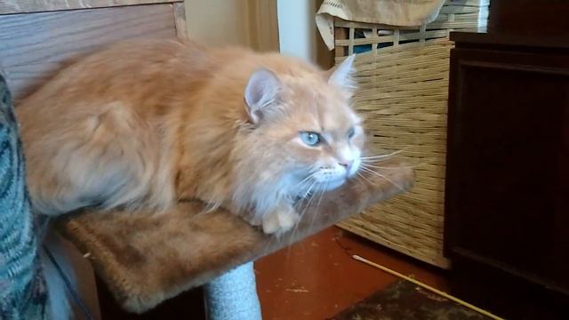 Разговор смотреть онлайн