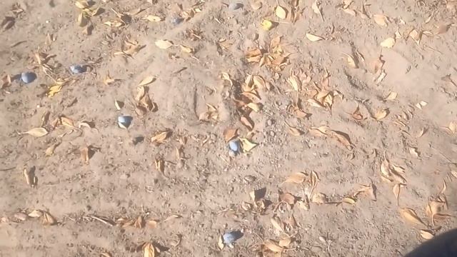 ПОКАЛЫВАНИЕ И ОНЕМЕНИЕ КОНЕЧНОСТЕЙ 5.11.2021 смотреть онлайн