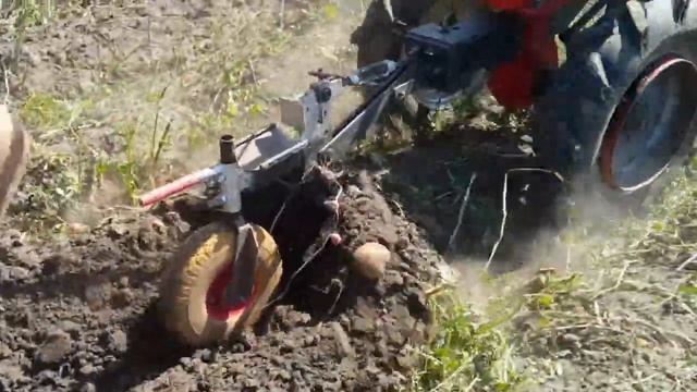 Мотоблок Форте 105, двигун Кентавр 13лс, копка картоплі смотреть онлайн