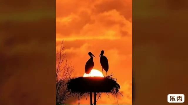 Стихи. Побережем друг друга. Читает автор ЭльХан. смотреть онлайн