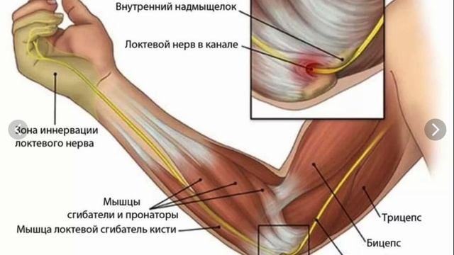 Строение Нейрона в 5D (Анатомия в VR) ЕГЭ/ОГЭ смотреть онлайн