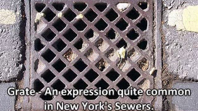 Reading Ninja Turtles Fanfiction - Chater2:1stMonth смотреть онлайн