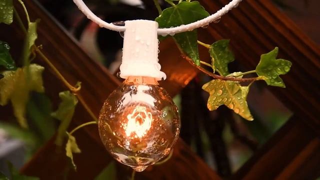 Электрогирлянда белая уличная Ретро лампы накаливания в комплекте смотреть онлайн