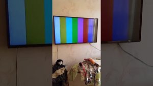 Цветные полосы на телевизоре