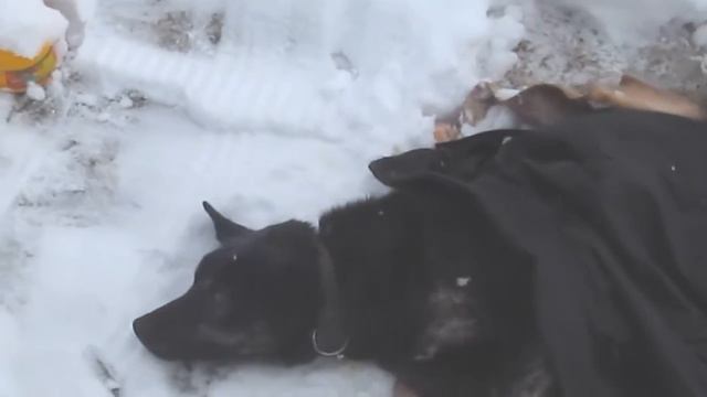 Малыш с Дачного 03 смотреть онлайн