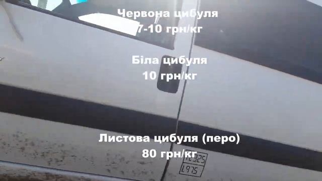 Ціни на ринку Великі Копані смотреть онлайн