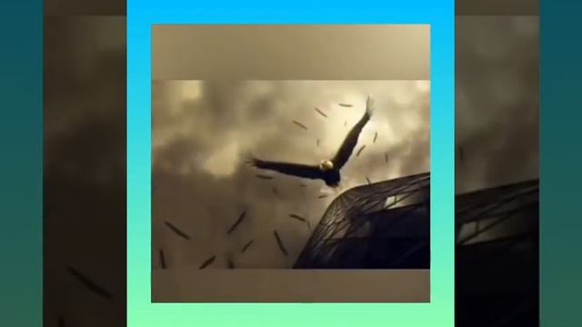 Начни жить иначе смотреть онлайн