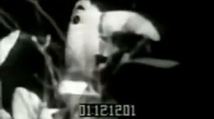 The Trashmen - Surfing Bird (1963)