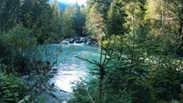 ?УСПОКАИВАЮЩАЯ НЕЖНАЯ МУЗЫКА СО ЗВУКАМИ ЖИВОЙ ПРИРОДЫ?ПРОГУЛКА ПО ЛЕСУ? смотреть онлайн