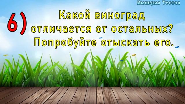 ВКУСНЫЙ ТЕСТ на ВНИМАТЕЛЬНОСТЬ. Найди ЛИШНЕЕ и проверь ЗРЕНИЕ. Империя Тестов смотреть онлайн