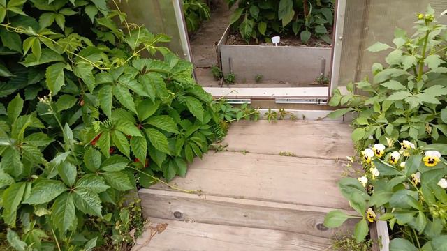 экскурсия по огороду смотреть онлайн