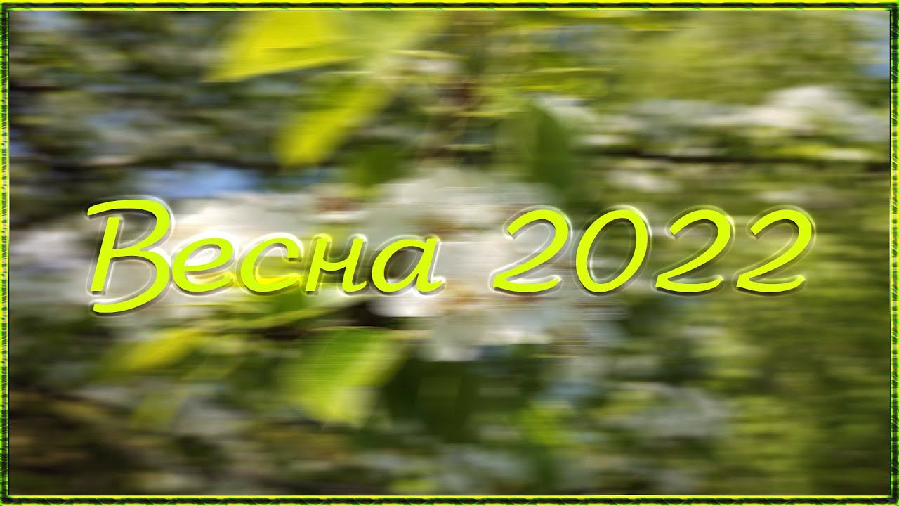 Весна 2022 смотреть онлайн