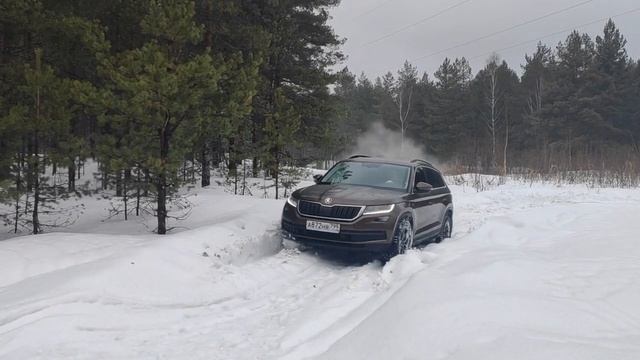 Skoda Kodiaq вышел из берлоги! Не рано ли на бездорожье/offroad? смотреть онлайн