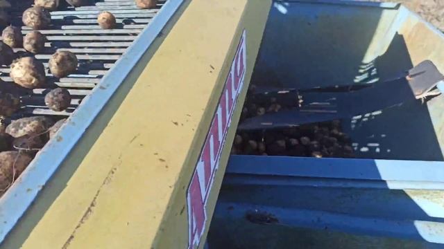 Як копаємо 10 соток картоплі за 20хв Вараський рн смотреть онлайн