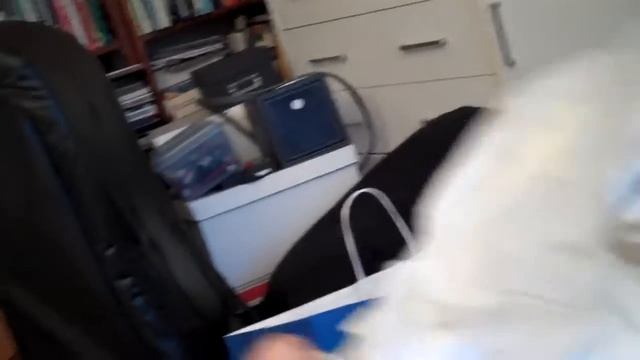 Pauly P Berkeley trip teaser vid смотреть онлайн
