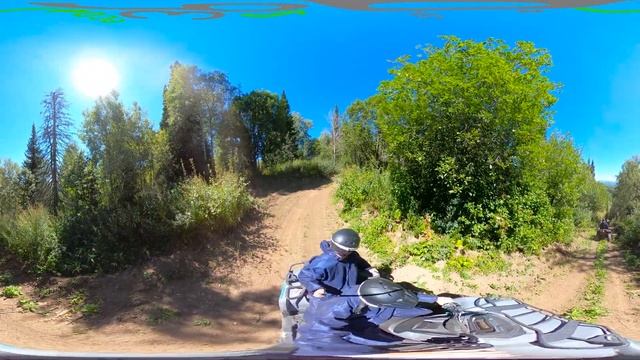 360 VR квадроцикл: панорамное путешествие в лесу смотреть онлайн
