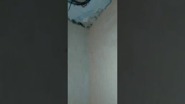 Штукатурим гипсом на саманную стену смотреть онлайн