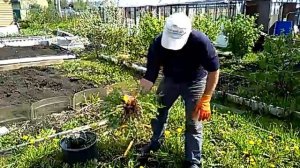 Приспособа для прополки !!