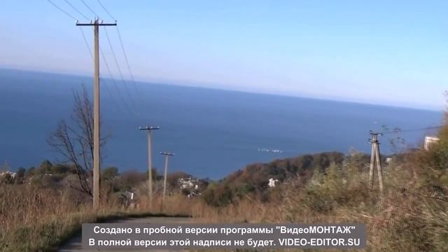Охота по голубю вяхирь витютень .Адлер 23.11.2014 г. смотреть онлайн