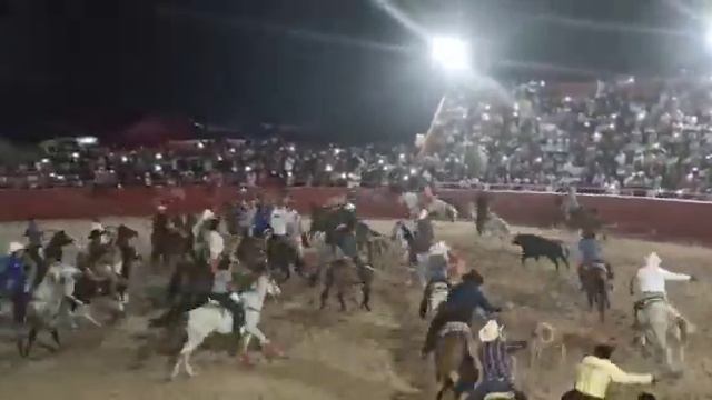 T: El Inquieto R: Quinta la Rosita - Plaza de Toros El Retoño смотреть онлайн