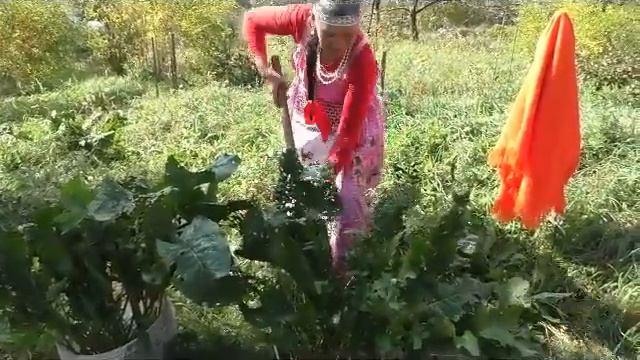 Секреты Красоты