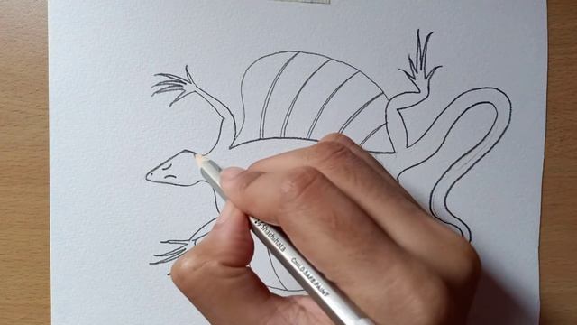 Draco Flying Lizard Diagram drawing, flying dragon, how to draw flying lizard | lizard pencil sketc смотреть онлайн