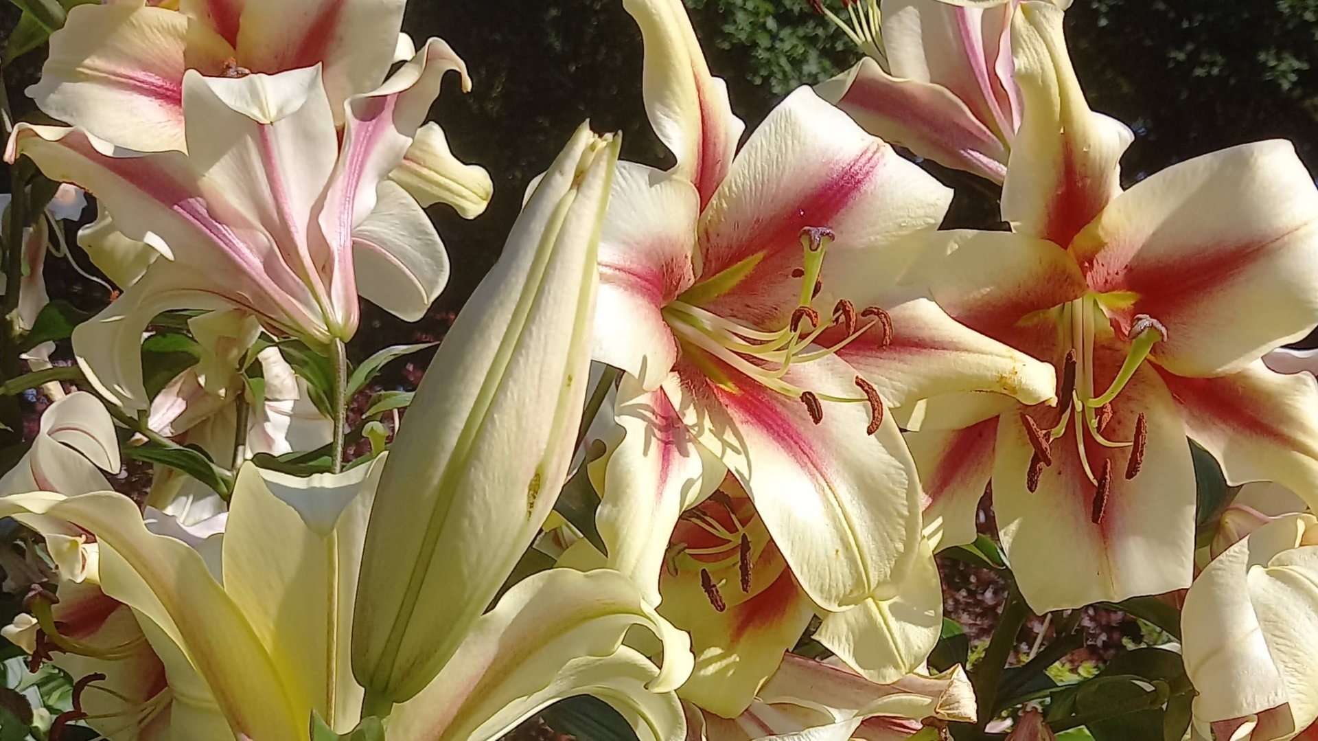 Любовь настала смотреть онлайн