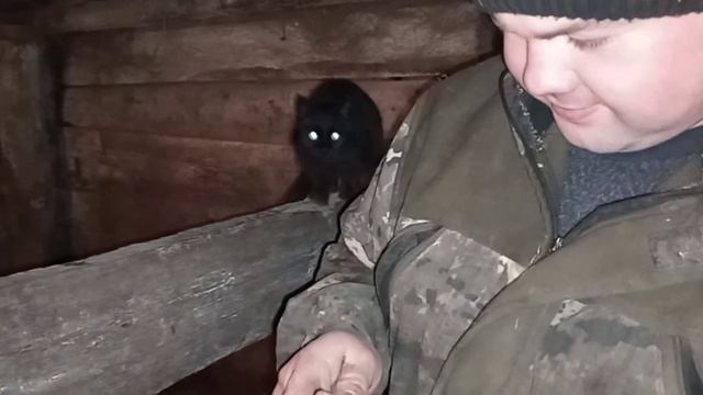 ставим уколы против глистов смотреть онлайн