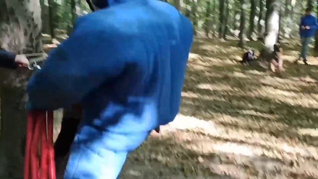 Немецкая овчарка, стаффордширский терьер. Защита хозяина. Подготовка охранных собак. Винница смотреть онлайн