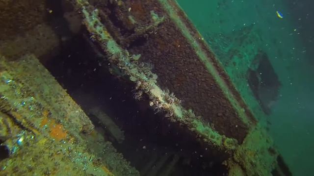 Акция памяти 28-я годовщина гибели парохода "Адмирал Нахимов" смотреть онлайн