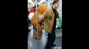 медведь на TikTok китайский