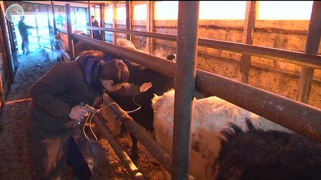 Реставрация утерянных ценностей