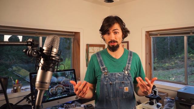 5 Steps to an Abundant Future Webinar with Matt Powers смотреть онлайн