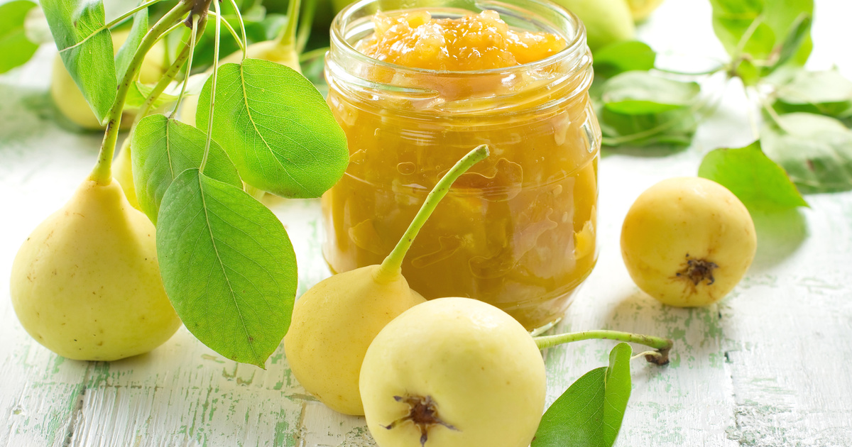 Домохозяйка