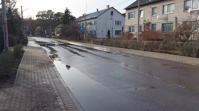 Вечная гигантская лужа в посёлке Лесной на Куршской косе смотреть онлайн