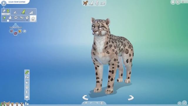 Icy Snow Leopard and Desert-Dry Fennec Fox Babies?! ??? смотреть онлайн
