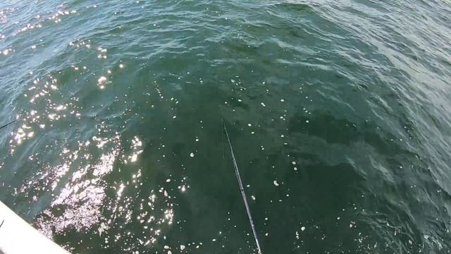 SWELL Fishing Before The HURRICANE - Will They Eat?? смотреть онлайн