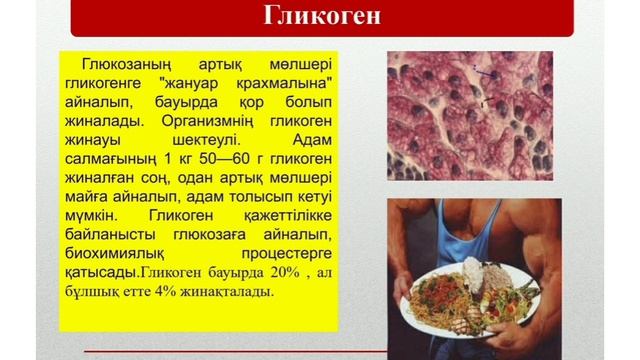 Полисахаридтер: крахмал және целлюлоза. | Химия смотреть онлайн