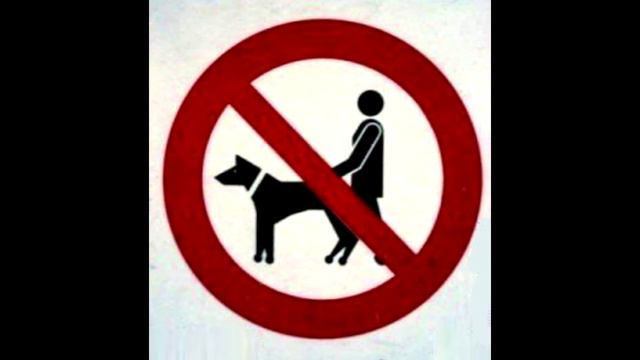 Трелер 2017 CHELOBAKA\ЧЕЛОБАКА смотреть онлайн