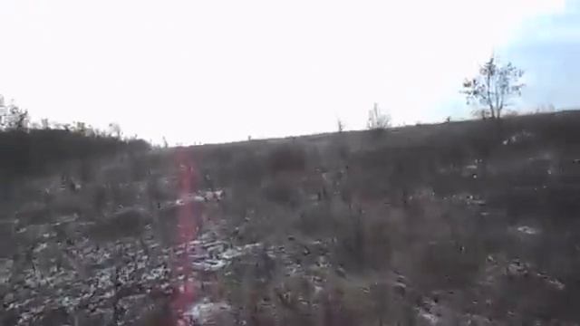 Как поймать зайца VitalikIgnatyuk смотреть онлайн
