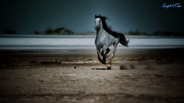 VANGELIS - Conquest of Paradise _x264