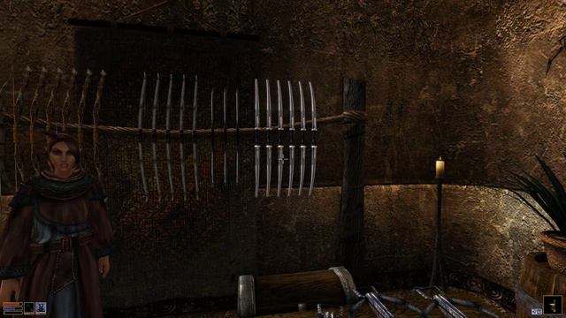 Прохождение The Elder Scrolls III: Morrowind - Часть 14. Первая отсидка и гильдии магов в Вивеке смотреть онлайн
