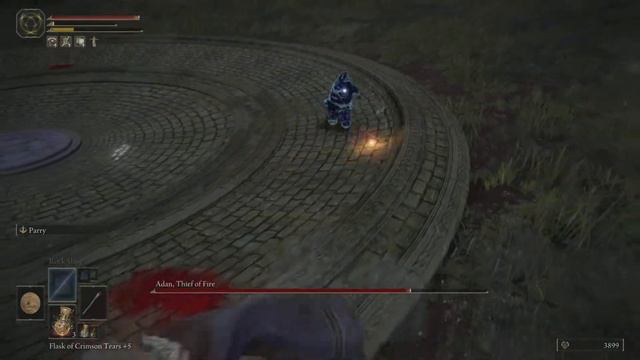 Adan Thief of Fire / lv45 Astrologer No DMG / Elden Ring смотреть онлайн