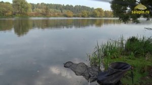 Осенняя рыбалка фидером на реке Москва [salapinru]