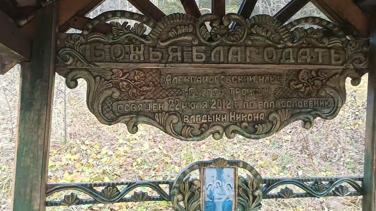 Прогуляемся по лесу и повяжем смотреть онлайн