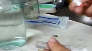 ЛА СОТА.  Как Вакцинировать цыплят .